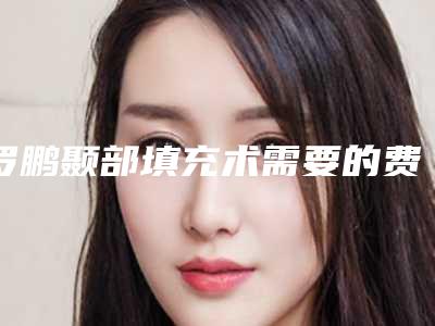 罗鹏颞部填充术需要的费用