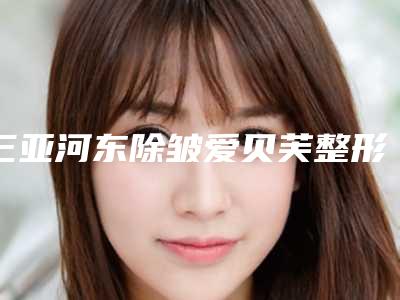 三亚河东除皱爱贝芙整形医生排名全面2025年