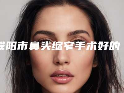 濮阳市鼻头缩窄手术好的医院(濮阳市鼻头缩窄手术医院排名榜top10哪里实力强)