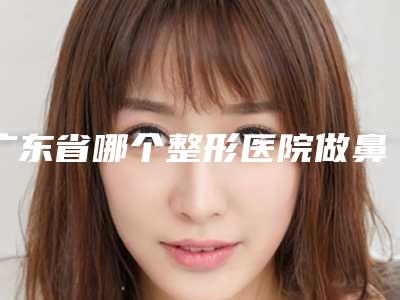 广东省哪个整形医院做鼻梁骨整形手术最好(广州花都华美容整形稳居榜首)