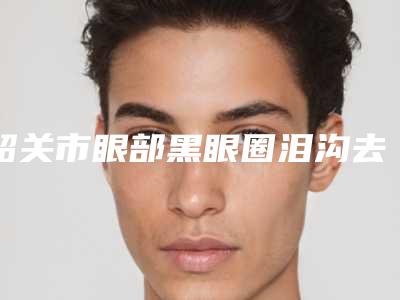 韶关市眼部黑眼圈泪沟去除整形医院排名榜样样yyds(科美医疗美容诊所实力技术远超同行)