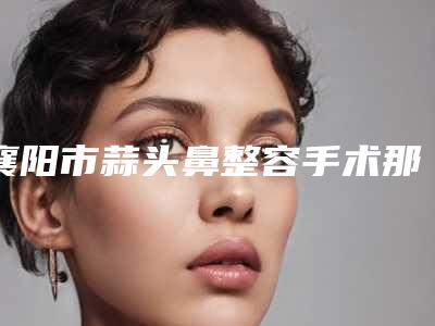 襄阳市蒜头鼻整容手术那个整形医院比较好-襄阳德尔美客西子医疗美容有限公司连锁凭实力胜出