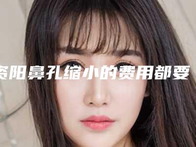 资阳鼻孔缩小的费用都要多少钱呢_资阳鼻孔缩小手术费会花多少